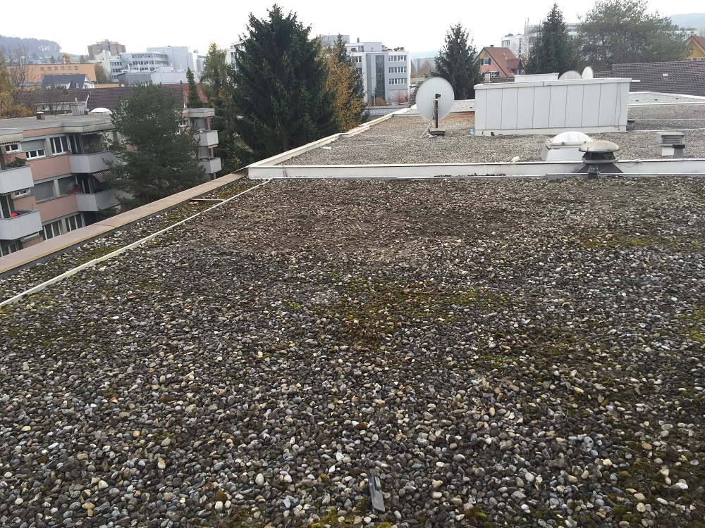 Dachservice/ -unterhalt